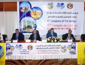 وزير القوى العاملة من الإسكندرية: السياحة المصرية تعود لأزهى عصورها بشهادة الخبراء