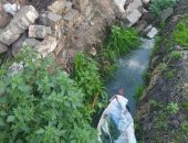 أهالى قرية طرانيس العرب بمحافظه الدقهلية يطالبون باستكمال الصرف الصحى