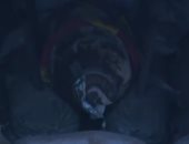 بدء عملية إبطال مفعول قنبلة من مخلفات الحرب العالمية الثانية بالبندقية