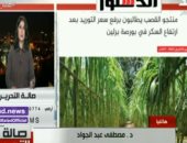 الزراعة: ندرس مطالب الفلاحين بزيادة سعر توريد قصب السكر.. فيديو