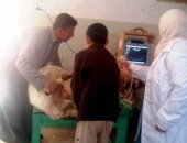 صور.. بيطرى الشرقية: 816 عملية تلقيح صناعى لتحسين سلالات الثروة الحيوانية