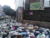 قمامة وكلاب ضالة.. شكوى سكان شارع الترولى بجوار سنترال المطرية