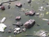 شكوى من غرق قرية ابتوك شبراخيت بمياه الصرف الصحى بالبحيرة