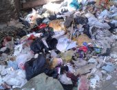 اكوام القمامة.. شكوى أهالى شارع السلطان محمود بنجع أبو شجرة بسوهاج