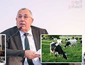 كيف تواجه "الزراعة" كورونا والأمراض الوبائية؟.. حملات بأسواق اللحوم وتشديد الفحص بالموانى والمطارات والمنافذ الحدودية.. فحص الجمال الواردة للتعرف على الفيروس.. وتجهز المعامل للتأكد من سلامة الأغذية المستوردة