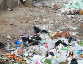 شكوى من انتشار القمامة والكلاب الضالة بشارع على باشا بعين شمس