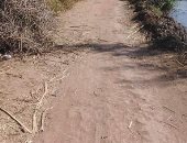 أهالي زفتى يشكون بسبب تدهور طريق عزبة شعيب