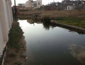 أهالى قرية الحماد بكفر الشيخ يستغيثون من تراكم مياه الأمطار والصرف الصحى