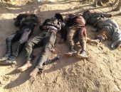 أمين عام الأمم المتحدة يدين الهجمات الإرهابية فى تشاد