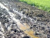 أهالى قرية عبدالجواد بمحافظة كفر الشيخ يطالبون برصف الطريق