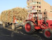 محافظ قنا يصادر جرار قصب لمخالفته قواعد المرور فى دشنا