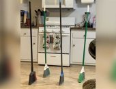 تحدى المقشة.. ترند جديد يثير أزمة داخل وكالة ناسا.. فيديو