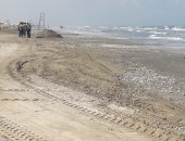 محافظة بورسعيد تبدأ إزالة القواقع من شواطئ المحافظة.. صور