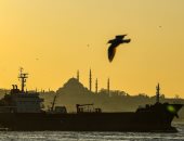 الجارديان: مشروع أردوغان لقناة إسطنبول الجديدة يهدد الطيور المهاجرة