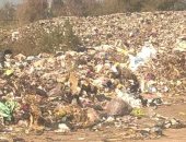 شكوى من انتشار القمامة بقرية بشلا فى مركز ميت غمر بمحافظة الدقهلية