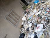 قارئ يشكو من تراكم القمامة والحيوانات النافقة بحى توريل بالمنصورة