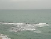 هطول أمطار خفيفة وسماء ملبدة بالغيوم بالإسكندرية