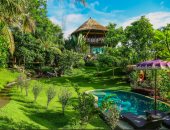 "بيت الشجرة" .. منزل خيالى على شاطئ بالى فى إندونسيا وسط الخضرة .. صور