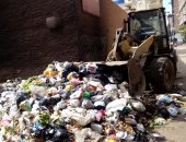 استجابة لـ"سيبها علينا" حملة مكبرة لرفع القمامة بشوارع المحلة