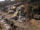رفع القمامة والمخلفات وتغطية بركة بقرية دمشير بالمنيا استجابة لشكاوى الاهالى