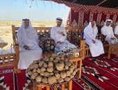 رئيس الإمارات بصحبة محمد بن زايد فى جولة لغابة محمية "غناظة".. صور