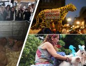 صور.. العالم هذا المساء.. الرئيس الفرنسي "ماكرون" يفتتح المعرض الدولى للزراعة فى نسخته الـ57.. مسيرات فى المكسيك لدعم إنشاء قطار ومظاهرات أخرى تحتج.. كلاب خارقون فى مهرجان ريو دى جانيرو الاستعراضى