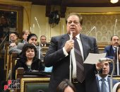 أبو العينين: جلسة اليوم كانت تظاهرة من القلب تقديرا للقيادة السياسية والجيش.. ومصر قالت كلمتها من أجل ليبيا