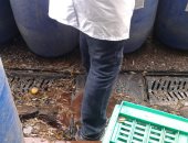 مفتشو الاغذية يضبطون 3.6 طن أغذية فاسدة في مصانع العاشر من رمضان 