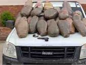 الداخلية تضبط 90 كيلو بانجو بحوزة مهرب فى دمياط