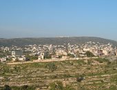 مؤسسة عرفات تتيح للاجئين الفلسطينيين الاطلاع على سجلات الأراضى قبل 48 
