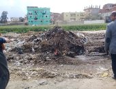 قارئة تشارك بصور لحملات النظافة بشوارع عزبة كشكة فى الشرقية