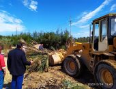 إزالة 39 حالة تعدى على الأراضى الزراعية وأملاك الدولة بالبحيرة.. صور