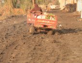 "سيبها علينا".. قارئ يناشد المسئولين رصف طريق عزبة سعد قاسم بالدقهلية