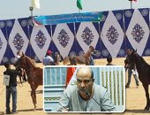 الخيول تواجه خطر الموت.. مستشفى محطة الزهراء بلا أطباء لإجراء جراحات للحيوانات.. برلمانى يكشف إهدار المال العام بالهيئة الزراعية وتضارب التصريحات حول نفوق 41 حصانا.. ويطالب بسرعة تشكيل لجنة للقضاء على الفساد