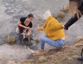 امرأة روسية تخاطر بحياتها لإنقاذ كلبها من الغرق فى بركة مياه متجمدة.. فيديو