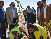 لزراعة ألف شجرة.. محافظ أسوان يطلق مبادرة "نجملها" لتشجير المدينة (صور وفيديو)