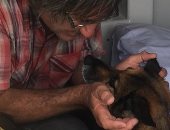 "الصديق الوفى".. كلب ينقذ صاحبه من الغرق بعد 11 ساعة سباحة