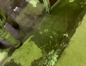 أهالى روض الفرج يشكون من تجمع المياه الجوفية التى تعرض منازلهم للانهيار