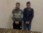 ضبط عاطلين بحوزتهما 31 كيلو من مخدر الحشيش بالإسكندرية