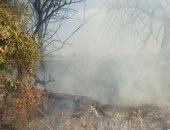 محافظ القليوبية ينتقل لموقع حريق نشب بخط نقل السولار من مسطرد إلى طنطا بقرية ميت عاصم