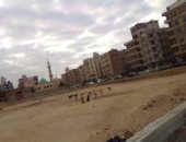 شكوى من انتشار الكلاب الضالة فى شارع 2 بالمقطم