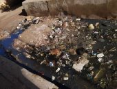 شكوى من غرق شارع المساكن بقرية الديدامون بالشرقية بمياه الصرف الصحى