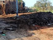 استجابة لـ"سيبها علينا".. رفع تراكمات القمامة بقرية عشما فى المنوفية