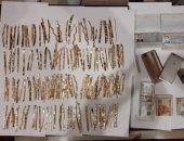 ضبط لصوص الذهب بعد 6 ساعات من ارتكابهم الجريمة بمنتصف الليل في الإسكندرية.. المتهمون 3 أردنيين جاءوا للسياحة وخططوا للهجوم على محل مجوهرات.. والتحريات: لديهم صحيفة جنائية سابقة فى بلادهم.. صور