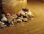 قارئ يشكو من تراكم القمامة بقرية أبو الغر بمركز كفر الزيات