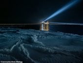 التلوث الناجم عن أضواء السفن يضر بالحيوانات البحرية فى القطب الشمالى