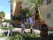 رئيس جهاز السادات: استكمال زراعة وصيانة المسطحات الخضراء بالمدينة