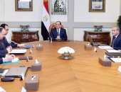 السيسي يوجه ببذل الجهود لتوفير السلع وتلبية احتياجات المواطنين بأسعار مناسبة