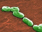 البكتيريا بمياه محطة الفضاء الدولية ليست أكثر خطورة من الموجودة على الأرض