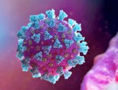 CNN: تطوير لقاح يتعرف على أخطر جزء بفيروس كورونا